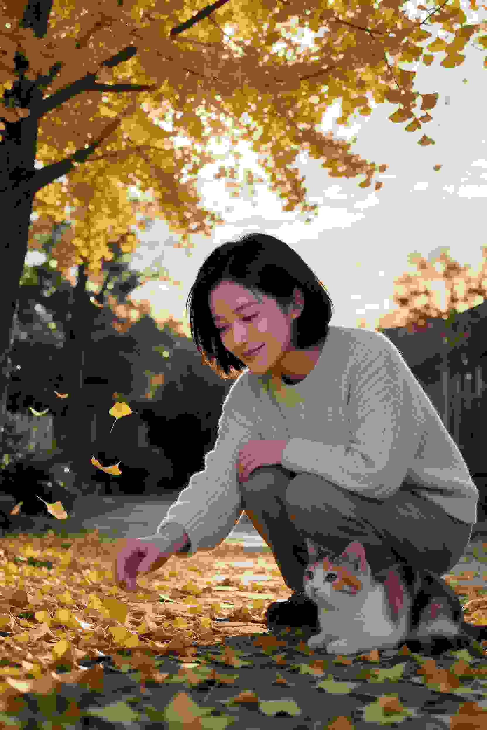 梦幻少女心